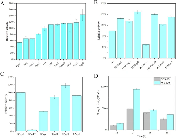 Efficient secretory production of SvPLA 2 by recombinant B. subtilis. (A) SvPLA2-WT expression under the control of different single promoters, (B) SvPLA2-WT expression under the control of different double-promoters, (C) Signal peptide screening enhances the secretion and expression of SvPLA2-WT, (