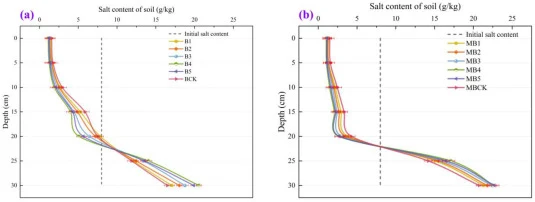 Vertical profiles of soil salt content ( SSC) at pakchoi maturity under varying irrigation and microbial treatments. Note: Panels (a) and (b) illustrate the salt distribution along the 0–30 cm soil profile under brackish water and magnetoelectric brackish water irrigation, respectively. BCK-B5 and M