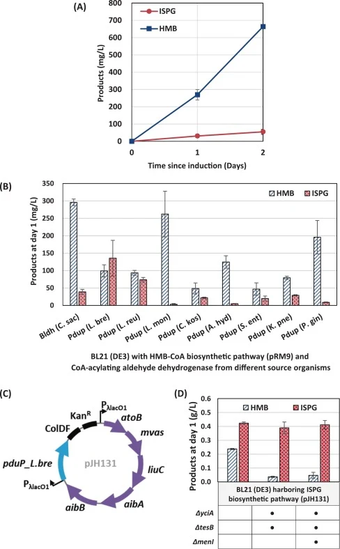 De novo biosynthesis of isoprene glycol using coenzyme A-acylating aldehyde dehydrogenase. (A) Initial isoprene glycol (ISPG) producing strain was constructed by separately expressing coenzyme A-acylating aldehyde dehydrogenase and HMB-CoA producing pathway (co-transforming plasmids pCDF-Bldh and pR