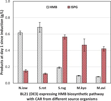 De novo isoprene glycol biosynthesis using CAR. (A) Selected CARs, including CAR from N. iowensis, S. rotundus, S. rugosus, M. kyorinense and M. avium, were combined with HMB biosynthetic pathway to construct corresponding plasmids: pYA271, pYA267, pYA268, pYA299 and pYA300. BL21(DE3) harboring thes