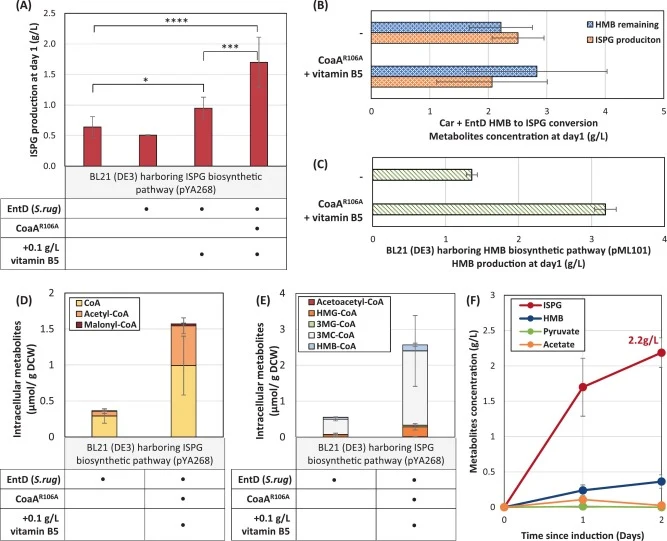 Increasing CoA supply achieved higher ISPG production. (A) ISPG production by E. coli BL21(DE3) harboring the ISPG biosynthetic pathway (pYA268) combined with EntD expression alone (pYA311), dual EntD and CoaAR106A expression (pYA312), and 0.1 g/L vitamin B5 supplementation. (B) Evaluation of HMB co
