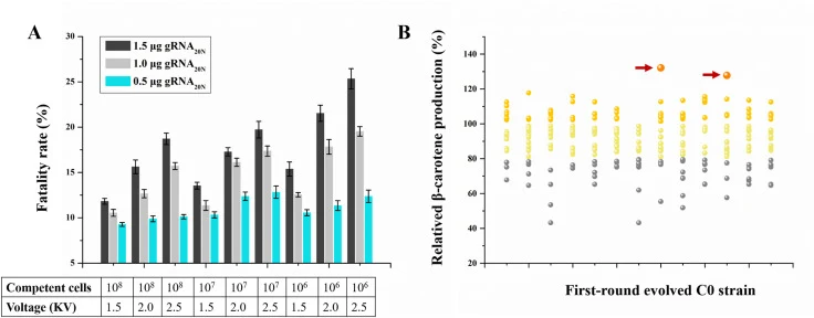 Evaluation of the AgLAGM System for genome evolution of S. cerevisiae. A. Optimization of AgLAGM condition via fatality rate analysis. Error bars show the standard deviation from three independent experiments. B. Positive mutation rate analysis of AgLAGM via β-carotene production analysis of S. cere