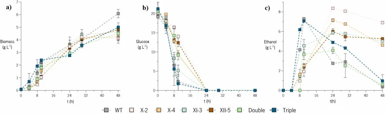 Characterisation of the developed strains in YPD. a) Growth profile during the 48hours of fermentation in YPD medium; b) and c) Glucose and ethanol metabolic profiles during the 48hours of fermentation in YPD medium.