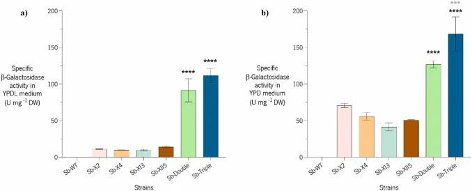 β-galactosidase activity at 48h of fermentation. a) Specific β-galactosidase activity by dry weight (U mg -1 DW) in YPDL medium; b) Specific cellular β-galactosidase activity by dry weight (U mg -1 DW) in YPD medium. The asterisks represent the statistical difference: Black- strains modified in one