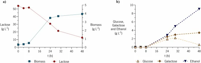 Sb-Triple fermentation profile in YPL medium (50gL -1 lactose). a) Lactose consumption profile (left y axis) and growth profile (right y axis) of Sb-Triple during 48hours of fermentation; b) Glucose, galactose and ethanol metabolic profile of Sb-Triple during 48hours of fermentation.