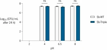 CFU mL -1 24hours after plating Sb-WT and Sb-Triple in agar plates with pH values ranging from 2-8. In all conditions, the results were not statistically significant (ns) when comparing the CFU mL-1 values for each strain (α= 0.05; ns p value > 0.05; *p value < 0.05; **p value < 0.01; ***p value < 0