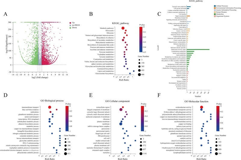 Volcano plots of DEGs in ΔTPS1 (A): the red dots represent up-regulated DEGs, the green dots represent down-regulated DEGs and the gray dots represent genes with no significant changes in expression. KEGG pathway classification of the top 20 differentially expressed genes (B&C). Functional categoriz