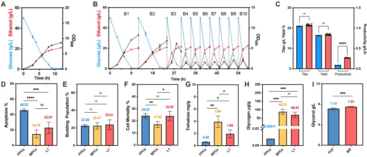 The evaluations of BIF and FCF The fermentation kinetic curves of FCF (A) and BIF (B), and the fermentation abilities of FCF (the blue bars) and BIF (the red bars) (C); cell states, including apoptosis (D), bud populations (E), and cell mortality (F); and other carbon substrates, including trehalose