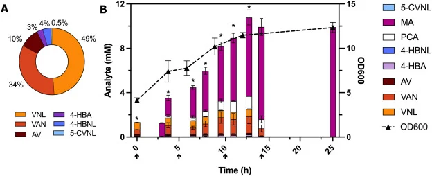 Muconate production from fLOAD lignin by RHAAL14. (A) The molar ratios of the LDACs present in the purified monomer oil derived from fLOAD. (B) Fed-batch fermentation of the fLOAD-processed lignin by RHAAL14 for ccMA production. Cells were grown in LB to mid-log, washed in M9 and suspended to OD 4.0