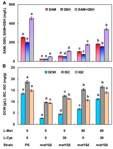 Cell growth of C. utilis met15Δ and biosynthesis of SAM and GSH under flask culture with 60 mmol/L L-methionine and/or 30 mmol/L L-cysteine supplementation into the fermentation medium. Different lowercase letters above bars of the same parameter indicate significant differences among supplementatio