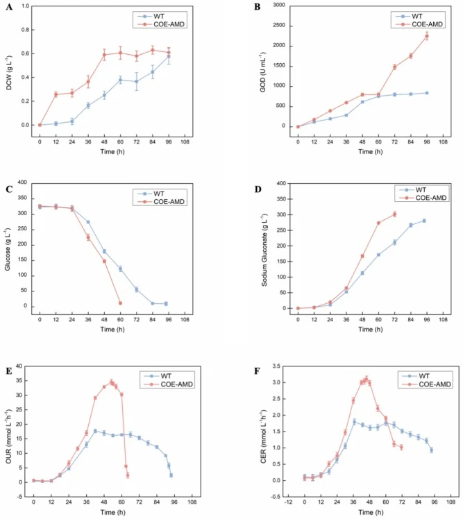 Comparative time-course analysis of batch fermentation in 5-L bioreactors at 45°C for WT and COE-AMD strains. (A) Dry cell weight (DCW); (B) glucose oxidase (GOD) activity; (C) residual glucose concentration; (D) sodium gluconate (SG) concentration; (E) carbon evolution rate (CER); and (F) oxygen up