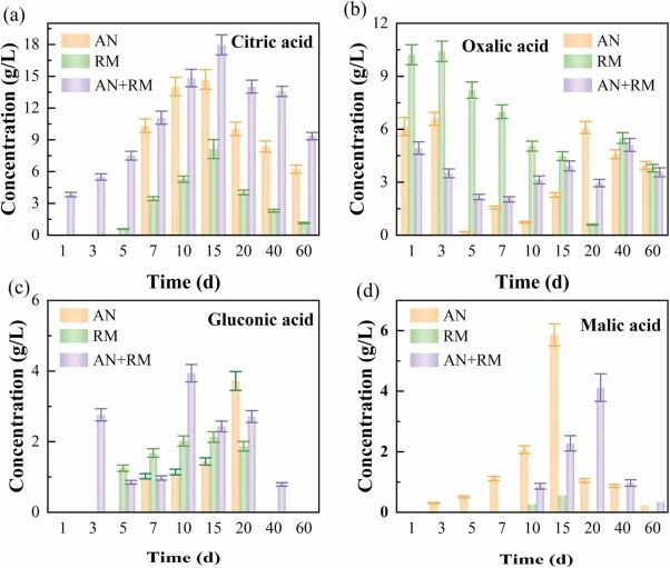 Changes in organic acid concentrations: (a) citric acid, (b) oxalic acid, (c) gluconic acid, and (d) malic acid.