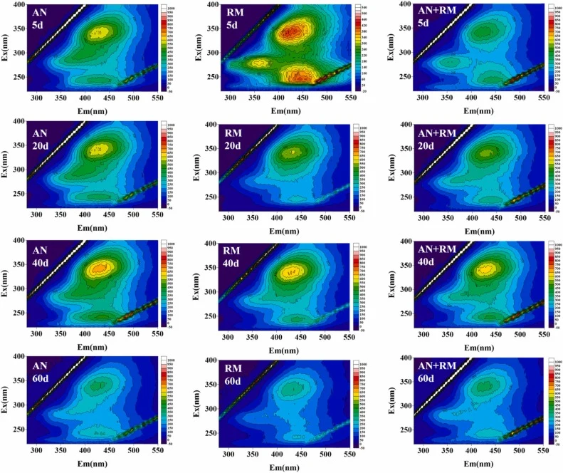 生物淋浸过程中EPS的3D-EEM荧光光谱（行表示处理组（AN、RM、AN+RM），列表示取样时间（第5天、第15天、第30天））。