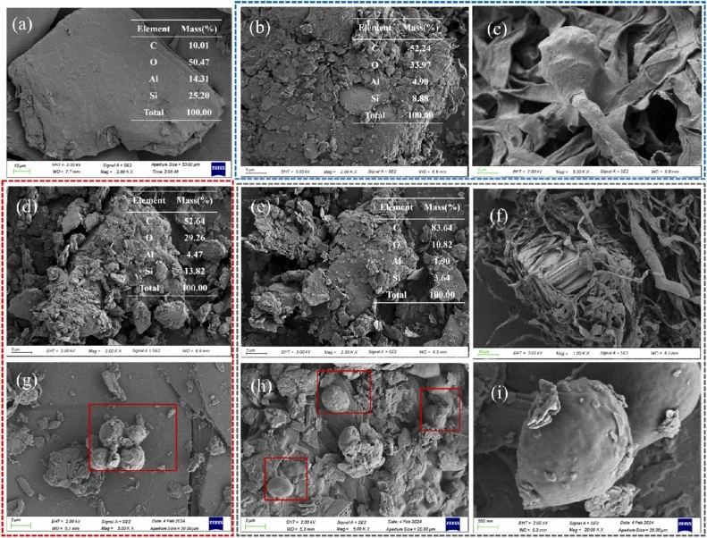 SEM images of (a) lepidolite without bacteria and leaching residues: (b, c) AN group, (d, g) RM group, (e, f, h, i) AN+RM group.