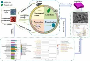 Untargeted metabolomics reveals the synergistic mechanism of