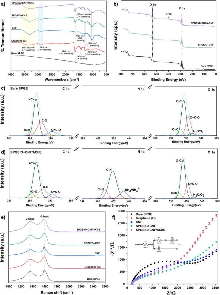 Structural and surface characterization of the modified electrodes. Fourier-transform infrared (FTIR) spectra of bare screen-printed graphene electrode (SPGE), graphene (G), SPGE/G, SPGE/G + CNF, and SPGE/G + CNF/AChE (a), XPS survey spectra confirming elemental composition changes after surface mod