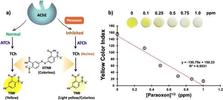 Schematic illustration of the colorimetric sensing mechanism based on acetylcholinesterase (AChE) inhibition and 5,5′-dithiobis-(2-nitrobenzoic acid) (DTNB) reaction (a), and calibration plot of the yellow color index as a function of paraoxon concentration (b). Error bars represent the standard dev