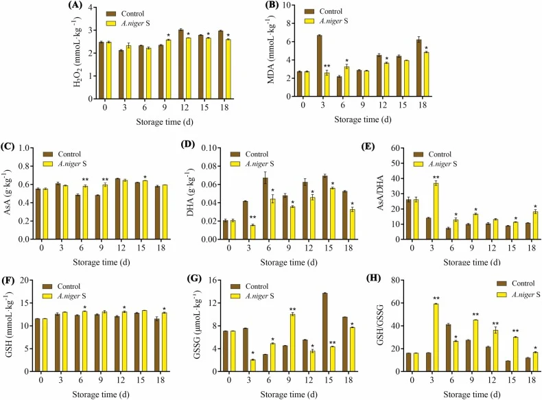 Effects of A. niger S treatment on the antioxidant status of pineapple during storage. Time-course changes in the contents of (A) hydrogen peroxide (H2O2) and (B) malondialdehyde (MDA). Dynamics of ascorbate-glutathione (AsA-GSH) cycle components and their redox ratios, including (C) ascorbic acid (