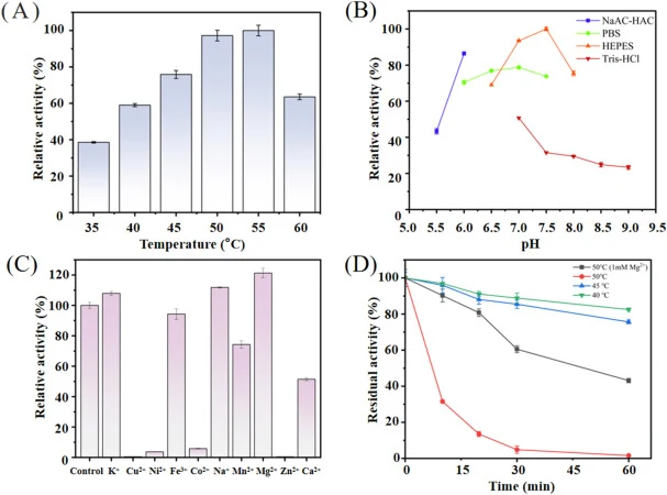 Characterization of Ensp β-gal. (A) Effect of temperature (35–60 °C) on Ensp β-gal activity. (B) Effect of pH (5.5–9.0) on Ensp β-gal activity. (C) Effect of metal ions on Ensp β-gal activity. (D) Effect of temperature on the thermostability of Ensp β-gal (40–50 °C).