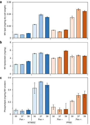 Membrane vesicle (MV) generation and changes in lipid and phospholipid contents of MVs in 2-L jar fermentor cultures of C. glutamicum KY9002 and PP80. MVs were prepared from 60 or 120 mL of cultures grown at 30, 37, or 39°C with (Pen +) or without (Pen −) penicillin treatment. (a) Total lipid conten