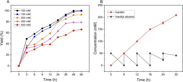 Time courses for transforming vanillyl alcohol to vanillin. (A) biosynthesis of vanillin under optimal reaction conditions; (B) biosynthesis of vanillin by a fed-batch strategy. General reaction conditions: 0.2 g/mL E. coli-CsEUGO cells; vanillyl alcohol with a defined concentration; 10% DMSO;5 mL o