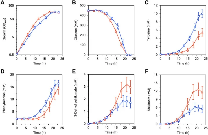 AD3/pTyrKY及其RNase J缺陷衍生物AD3 Δrnj/pTyrKY的发酵曲线。两菌株在含444 mM葡萄糖的改良CGXII-YE培养基中于罐式发酵罐培养。红色三角为AD3/pTyrKY，蓝色方块为AD3 Δrnj/pTyrKY。