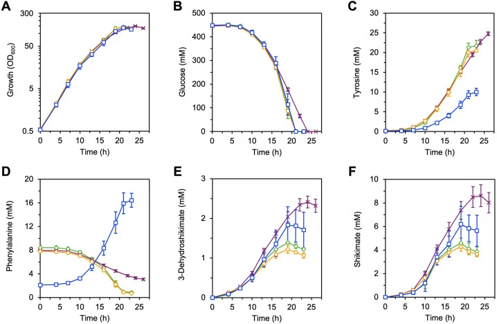 Fermentation profiles of AD4/pTyrKY and its derivatives engineered for enhanced tyrosine production. AD4/pTyrKY, AD4 ΔpheA/pTyrKY (AD5/pTyrKY), AD5 Δpyc/pTyrKY, and AD5 Δppc/pTyrKY were cultivated in a jar fermentor containing modified CGXII-YE medium supplemented with 444 mM glucose. For AD5/pTyrKY
