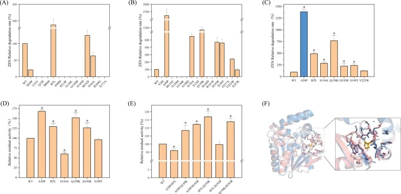 Experimental screening of designed ZENM variants for high-temperature performance and thermostability. (A) Relative activity of FireProt-proposed single-point variants measured at 65 °C and pH 9.0 (50 mM Tris–HCl) using the standardized endpoint assay (15 min) and normalized to WT (WT = 100%). (B) R