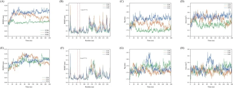 Molecular dynamics analysis of WT ZENM and the A59P variant at different temperatures. Time evolution of Cα root-mean-square deviation (RMSD) (A, E), residue-wise root-mean-square fluctuation (RMSF) (B, F), radius of gyration (Rg) (C, G), and solvent-accessible surface area (SASA) (D, H) during 200-