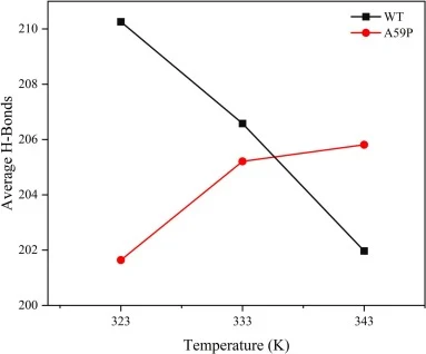 Temperature dependence of intramolecular hydrogen bonds in ZENM and A59P. Average number of protein intramolecular hydrogen bonds for wild-type ZENM (black squares) and the A59P mutant (red circles) at 323, 333 and 343 K, calculated over the 100–200 ns equilibrium segment of the molecular dynamics s
