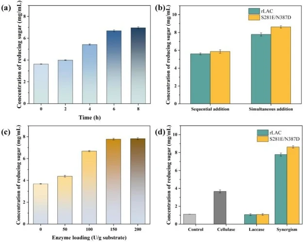 Effects of laccase on the enzymatic hydrolysis characteristics of pretreated wheat straw. (a) Optimization of laccase treatment time using rLAC (laccase loading: 100 U/g substrate); (b) The effect of laccase addition time on enzymatic hydrolysis of wheat straw; (c) Optimization of rLAC loading for s
