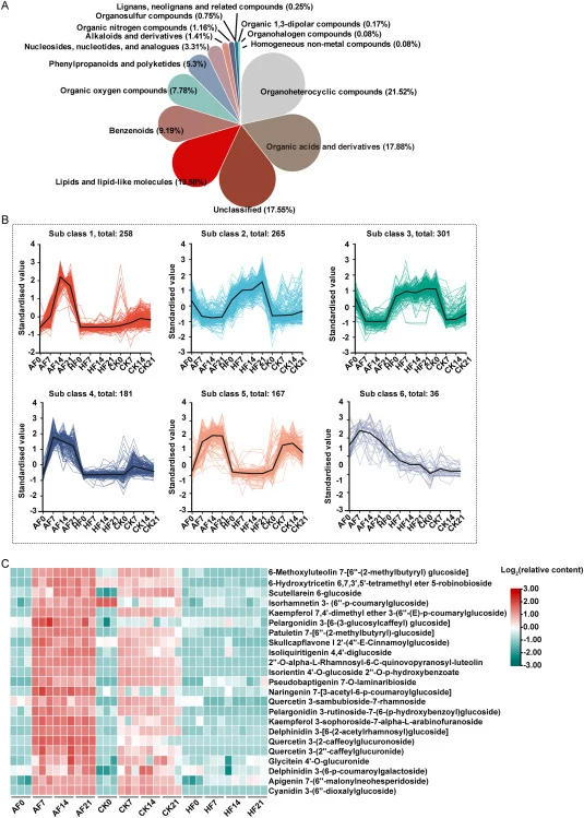 Differential metabolites identified from all samples. (A) Nightingale rose chart showing the classification of differential metabolites. (B) K-means clustering analysis of 1208 differential metabolites across all 12 samples (AF, HF, CK at 0, 7, 14, 21 days). The x-axis represents the 12 samples in t