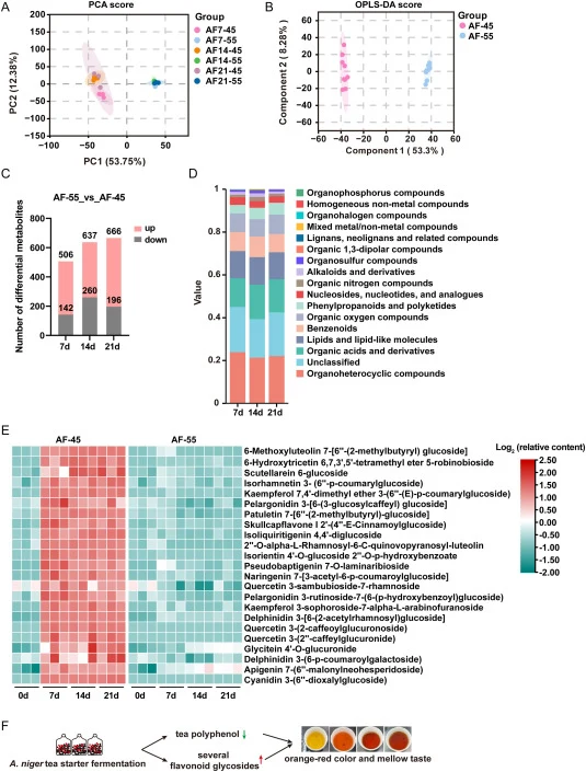 Effect of fermentation temperatures on non-volatile components of dark tea fermented with A.niger tea starter. PCA (A) and OPLS-DA (B) score plot. (C) Number of differential metabolites screened from AF-55_vs_AF-45 at different time points. (D) Stacked bar chart showing the types of differential met