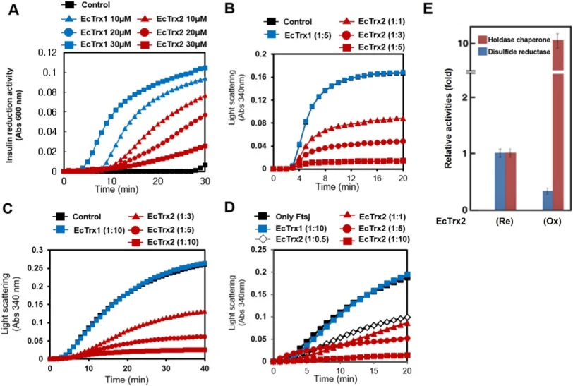 Oxidation-induced activation of holdase chaperone activity in EcTrx2. (A) Insulin reduction assay. DTT-induced chemical aggregation of insulin measured in the presence of 10 μM of EcTrx2 or EcTrx1, 20 μM EcTrx2 or EcTrx1, 30 μM EcTrx2 or EcTrx1, and the control. Substrate aggregation was monitored b