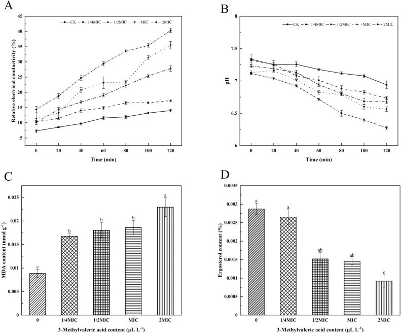 Inhibitory effects of 3-methylvaleric acid (3-MA) on Aspergillus niger S15. (A) Time-dependent relative conductivity of mycelia; (B) Extracellular pH of fungal cultures; (C) Mycelial malondialdehyde (MDA) content under gradient 3-MA treatments; (D) Ergosterol content in mycelia after 3-MA fumigation