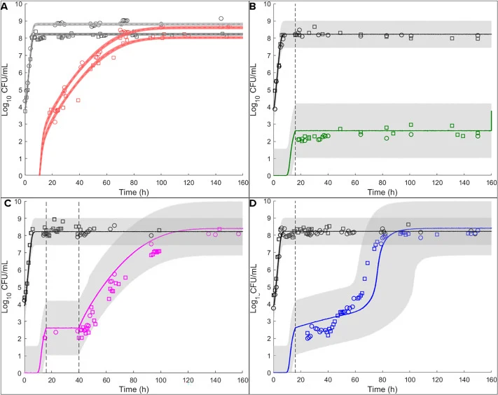 B. subtilis growth and sporulation kinetics under static and dynamic temperature conditions. (A) Experimental data and model fit under static 37 °C condition. (B-D) Simulations under dynamic temperature profiles based on parameters estimated at 37 °C. In all cases, cultures were first incubated at 3