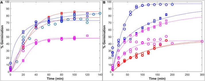 Germination kinetics of B. subtilis spores produced under different temperature conditions. Germination kinetics were monitored by flow cytometry in BHI medium (A) and L-alanine suspension (B) for spores produced under the 37 °C condition (red), the 37–10-37 °C condition (magenta), and the 37–20 °C