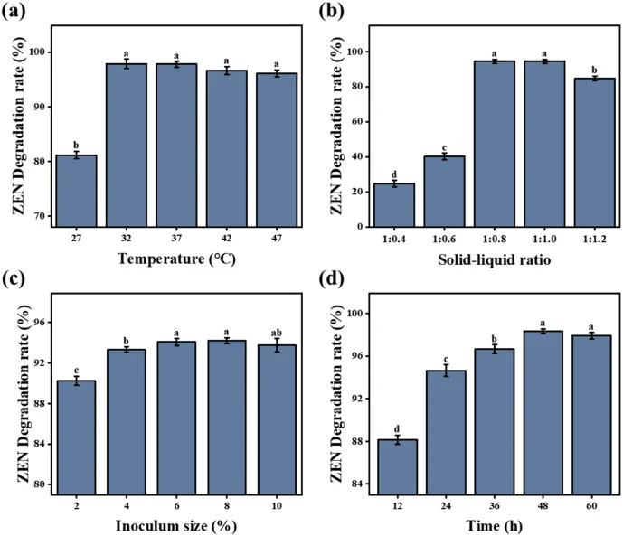 Detoxification of ZEN in corn germ meal by Bacillus subtilis K6 under solid-state fermentation conditions. (a) Influence of incubation temperature on ZEN degradation efficiency; (b) Impact of solid-to-liquid ratio (w/v) on ZEN removal; (c) Effects of inoculum density and initial ZEN concentration on