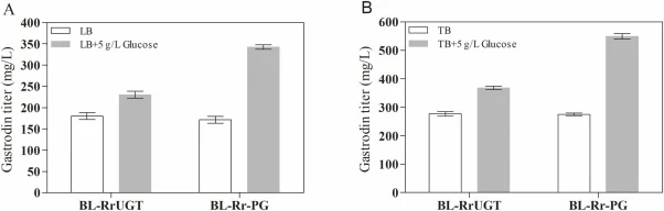 Comparison of the effects of enhanced UDP-glucose on gastrodin titer. (A) Comparing gastrodin titers in the recombinant strains BL-RrUGT and BL-Rr-PG in LB. (B) Comparing gastrodin titers in the recombinant strains BL-RrUGT and BL-Rr-PG in TB. Data are presented as the mean ± standard deviation (n =