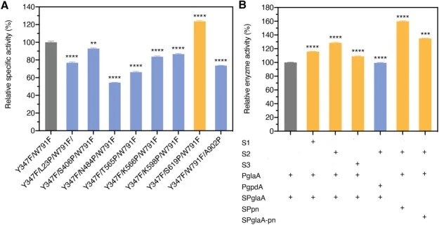 (A) Relative specific activities of mutants constructed by modifying unstable amino acids on the protein surface. The specific enzyme activity of mutant Y347F/W791F was set as 100%, and the relative specific enzyme activities of other mutants were calculated. (B) Relative enzyme activities of mutant
