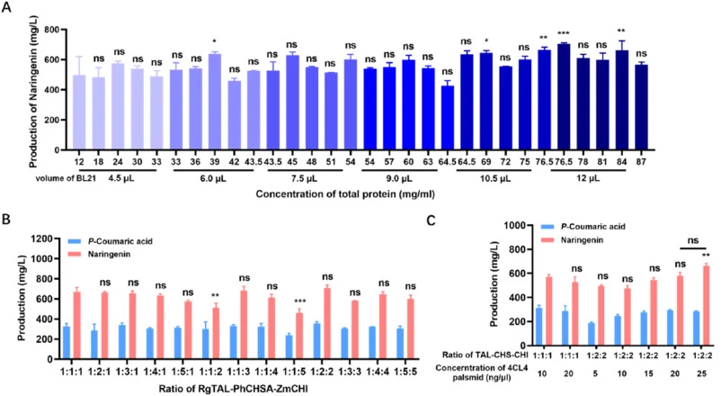 Effects of crude enzyme extract and plasmid concentrations on p-coumaric acid and (2S)-naringenin yields. (A) (2S)-naringenin yields at different total protein concentrations (RgTAL + PhCHSA + ZmCHI) and different total E. coli BL21 crude extract volume percentages. The control condition was a RgTAL
