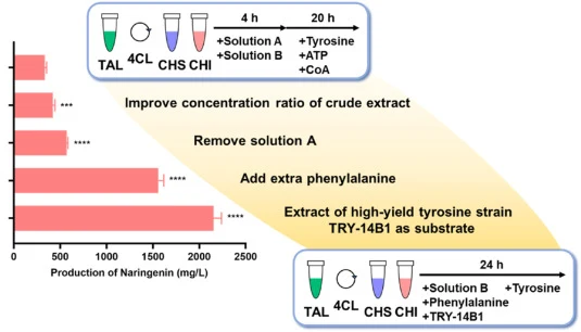 Stepwise improvement in (2S)-naringenin yield during optimization of the cell-free biosynthetic system from L-tyrosine. Statistical significance compared to the original CFPS-4CL system is indicated as ****, P < 0.0001. Error bars represent the standard error of the mean (n = 3). The biological repl