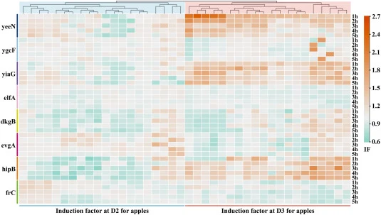 Response patterns of the whole-cell biosensor array to volatile metabolites released during apple blue mold progression. Heatmap showing induction factor (IF) values of different promoter-based biosensors monitored at 1-5 h after VOC exposure. Rows represent individual promoter strains at different