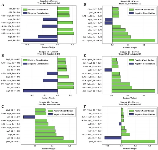 Local interpretability of the LightGBM multiclass model for representative samples. (A-C) LIME explanations for three correctly classified D2 samples. (D-F) LIME explanations for three correctly classified D3 samples. Green bars indicate features contributing positively to the predicted class, while