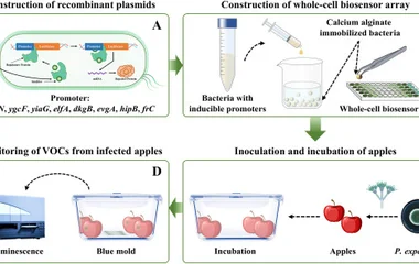 全细胞生物传感器阵列结合可解释机器学习