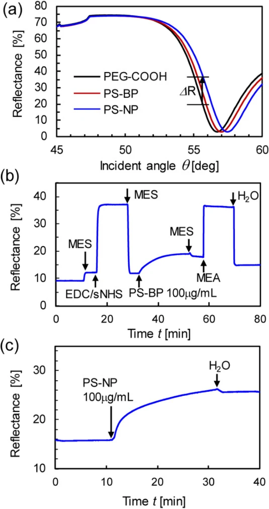 (a) Angle-resolved SPR curves of PEG-COOH-modified sensor substrate, after binding PS-BP and PS-NPs. The kinetics measurement was performed at an incident angle 55.5 deg. kinetics measurement of the immobilization process of PS-BP (b) and detection PS-NPs (c).