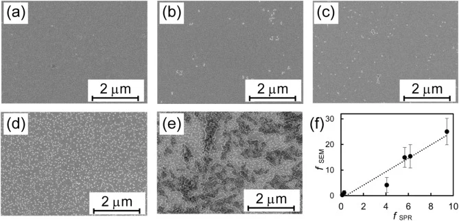 Representative SEM images of sensor substrate used for PS-NPs detection at concentrations of (a) 1 μg/mL, (b) 3 μg/mL, (c) 30 μg/mL, (d) 100 μg/mL, and (e) 1000 μg/mL. (f) Correlation between f SEM and f SPR. The slope of the linear regression function is 2.6.