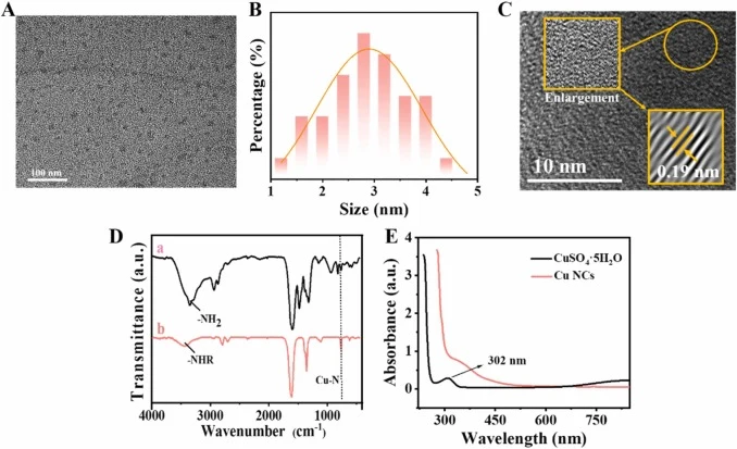 Characterization of Cu NCs. TEM image (A); size distribution (B); HRTEM image (C); FT-IR spectra of (a) EDA and (b) Cu NCs (D); UV–vis spectra (E).