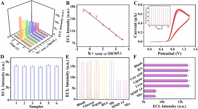 Analytical capabilities of biosensors. ECL response of the biosensor in different concentrations of MMP 14 (A); standard curves for different concentrations of MMP 14 (B); electrochemical stability and ECL stability (C) (inset: ECL intensity test), reproducibility (D), selectivity (E), and the anti-