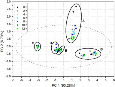Principal Component Analysis (PCA) score plot obtained from ATR-FTIR spectra of Bacillus subtilis culture supernatants collected over 12 h of cultivation. PC1 and PC2 explain 90.28% and 6.79% of the total variance, respectively. Colors represent sampling times (0−12h). Ellipses indicate clustering o